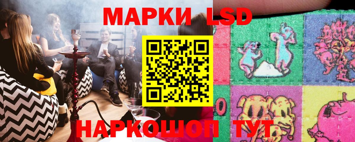 Наркотические марки 1500мкг  Наркотические марки 1500мкг  Видное  Вход с VPN 