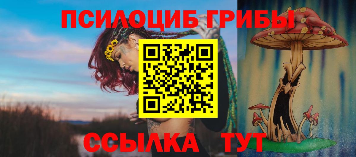 Видное  Псилоцибиновые грибы Magic Shrooms  Вход с VPN 
